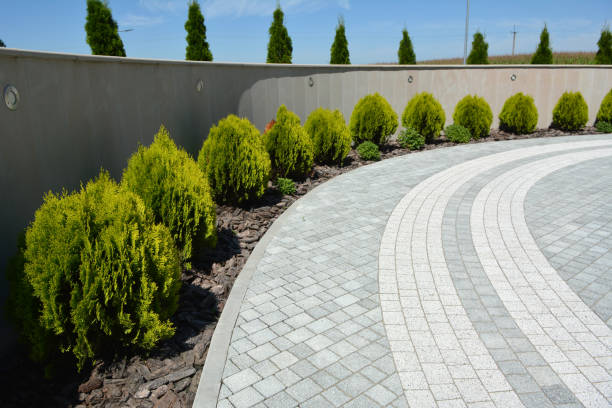 Best Decorative Driveway Pavers  in Ripley, MS