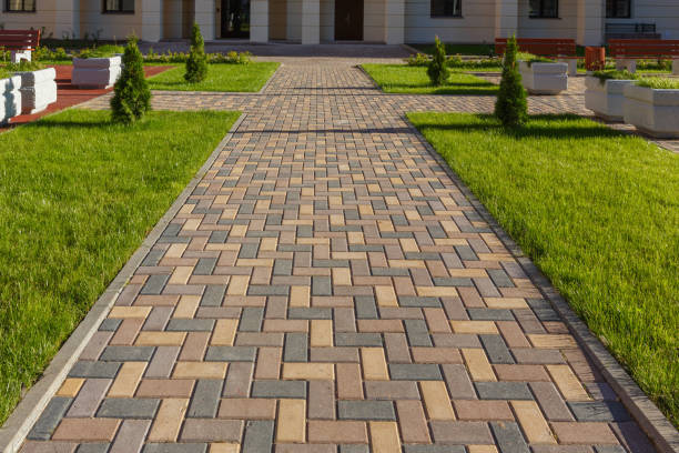 Best Residential Paver Driveway  in Ripley, MS